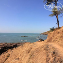 фото из отзыва ID 1685382