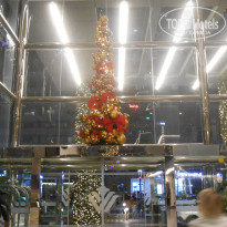 фото из отзыва ID 1685434