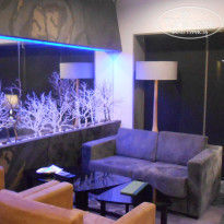 фото из отзыва ID 1685434