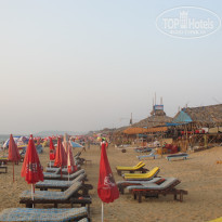 фото из отзыва ID 1685450