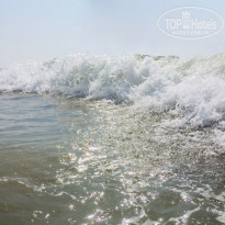 фото из отзыва ID 1685450