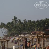 фото из отзыва ID 1685450