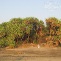 фото из отзыва ID 1685450