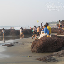 фото из отзыва ID 1685450