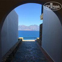 фото из отзыва ID 1685472