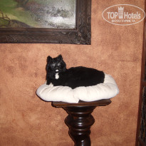 фото из отзыва ID 1685488