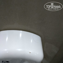 фото из отзыва ID 1685519