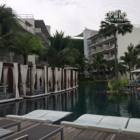 фото из отзыва ID 1685585