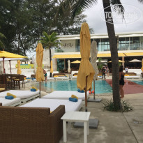 фото из отзыва ID 1685585