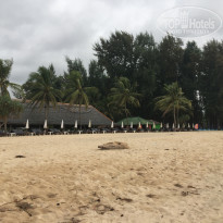 фото из отзыва ID 1685585