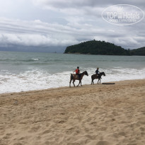 фото из отзыва ID 1685585