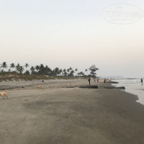 фото из отзыва ID 1685591