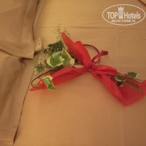 фото из отзыва ID 1685630