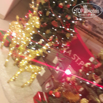 фото из отзыва ID 1685653