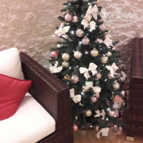 фото из отзыва ID 1685653