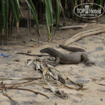 фото из отзыва ID 1685697