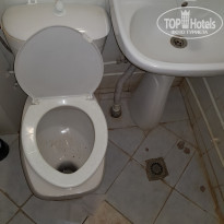 фото из отзыва ID 1685709