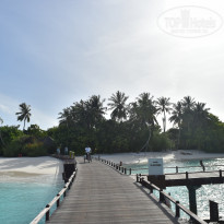 фото из отзыва ID 1685723