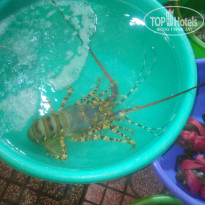 фото из отзыва ID 1680303