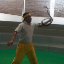 фото из отзыва ID 1680303