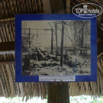 фото из отзыва ID 1680303