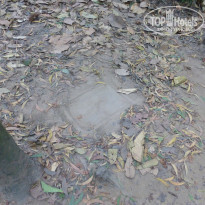 фото из отзыва ID 1680303