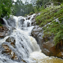 фото из отзыва ID 1685750
