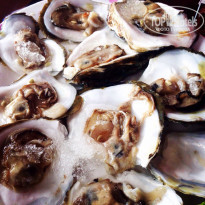 фото из отзыва ID 1685750