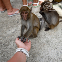 фото из отзыва ID 1685750