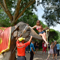 фото из отзыва ID 1685750