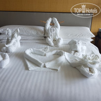 фото из отзыва ID 1685773