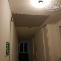 фото из отзыва ID 1685781