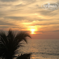 фото из отзыва ID 1686025