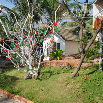 фото из отзыва ID 1686147