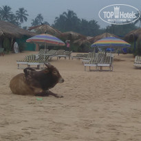 фото из отзыва ID 1686166