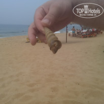 фото из отзыва ID 1686166