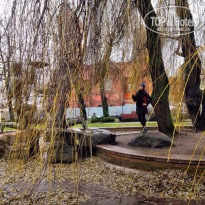 фото из отзыва ID 1686211