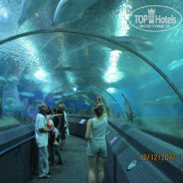 фото из отзыва ID 1686239