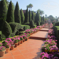 фото из отзыва ID 1686239