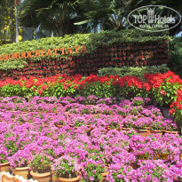 фото из отзыва ID 1686239