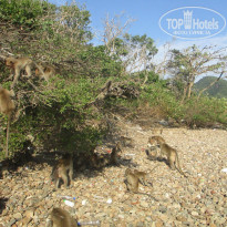 фото из отзыва ID 1686239