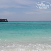 фото из отзыва ID 1686239