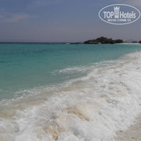 фото из отзыва ID 1686239