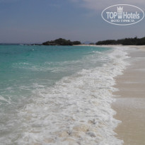 фото из отзыва ID 1686239