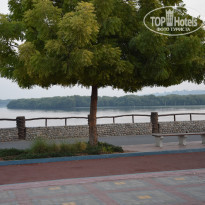 фото из отзыва ID 1686289