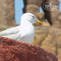 фото из отзыва ID 1686333