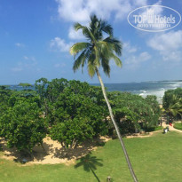 фото из отзыва ID 1686362