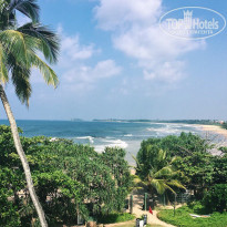 фото из отзыва ID 1686362