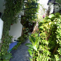 фото из отзыва ID 1686370