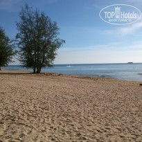 фото из отзыва ID 1686592